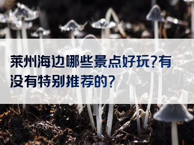 莱州海边哪些景点好玩？有没有特别推荐的？