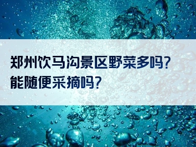 郑州饮马沟景区野菜多吗？能随便采摘吗？