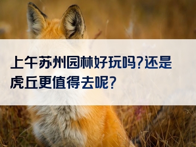上午苏州园林好玩吗？还是虎丘更值得去呢？