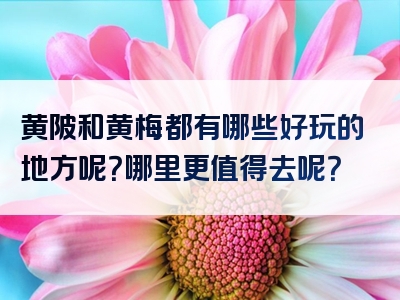 黄陂和黄梅都有哪些好玩的地方呢？哪里更值得去呢？