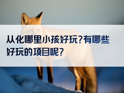 从化哪里小孩好玩？有哪些好玩的项目呢？
