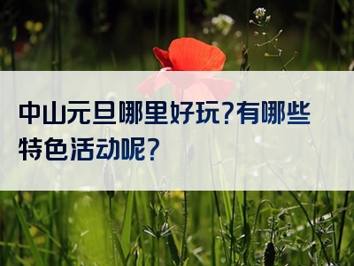 中山元旦哪里好玩？有哪些特色活动呢？