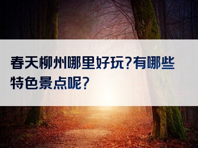春天柳州哪里好玩？有哪些特色景点呢？
