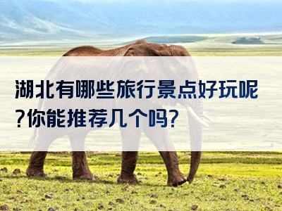 湖北有哪些旅行景点好玩呢？你能推荐几个吗？