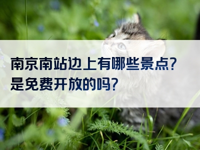 南京南站边上有哪些景点？是免费开放的吗？