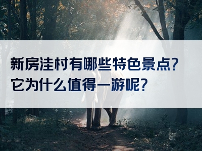 新房洼村有哪些特色景点？它为什么值得一游呢？