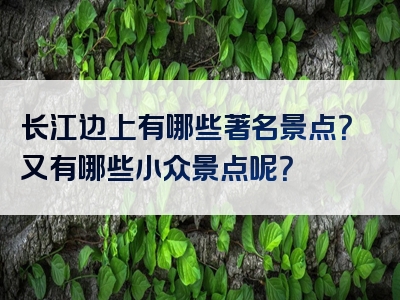 长江边上有哪些著名景点？又有哪些小众景点呢？