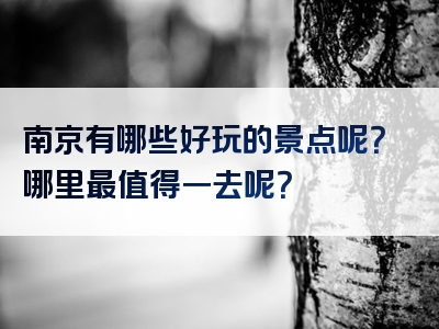 南京有哪些好玩的景点呢？哪里最值得一去呢？