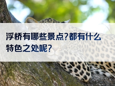 浮桥有哪些景点？都有什么特色之处呢？