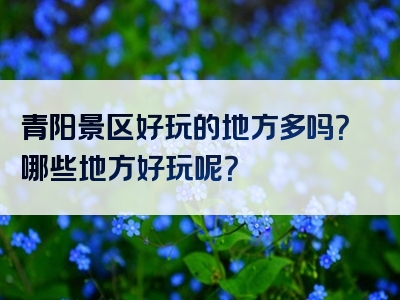 青阳景区好玩的地方多吗？哪些地方好玩呢？