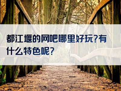 都江堰的网吧哪里好玩？有什么特色呢？