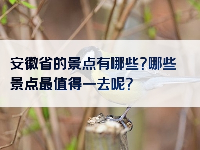 安徽省的景点有哪些？哪些景点最值得一去呢？