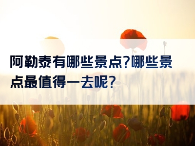 阿勒泰有哪些景点？哪些景点最值得一去呢？