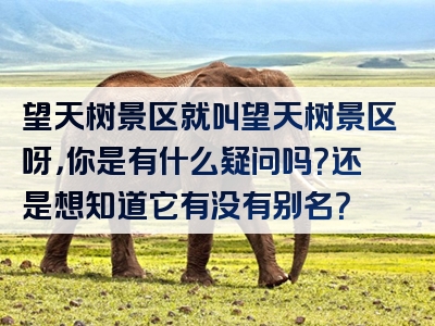 望天树景区就叫望天树景区呀，你是有什么疑问吗？还是想知道它有没有别名？