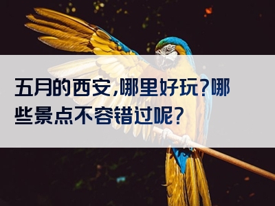五月的西安，哪里好玩？哪些景点不容错过呢？