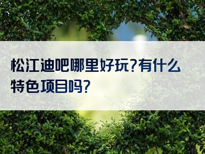 松江迪吧哪里好玩？有什么特色项目吗？