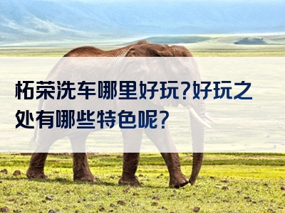 柘荣洗车哪里好玩？好玩之处有哪些特色呢？