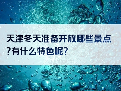 天津冬天准备开放哪些景点？有什么特色呢？