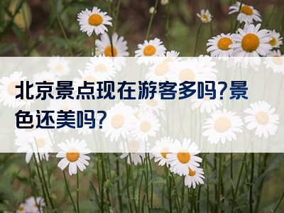 北京景点现在游客多吗？景色还美吗？