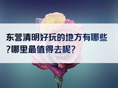 东营清明好玩的地方有哪些？哪里最值得去呢？