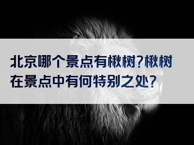 北京哪个景点有楸树？楸树在景点中有何特别之处？