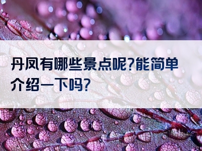 丹凤有哪些景点呢？能简单介绍一下吗？