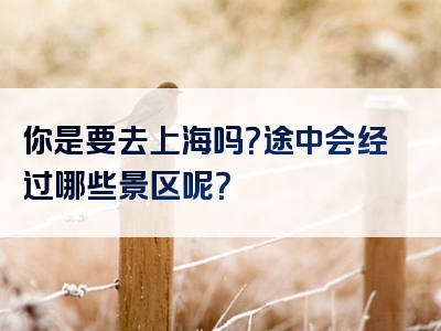 你是要去上海吗？途中会经过哪些景区呢？