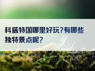 科威特国哪里好玩？有哪些独特景点呢？
