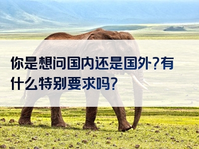 你是想问国内还是国外？有什么特别要求吗？