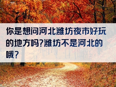 你是想问河北潍坊夜市好玩的地方吗？潍坊不是河北的哦？