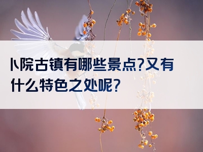 卜院古镇有哪些景点？又有什么特色之处呢？