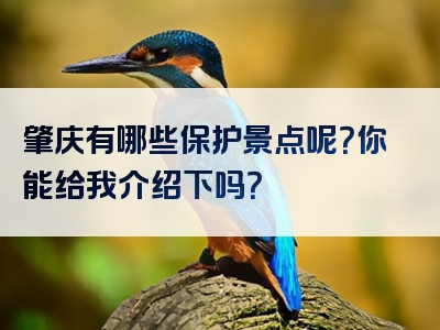 肇庆有哪些保护景点呢？你能给我介绍下吗？