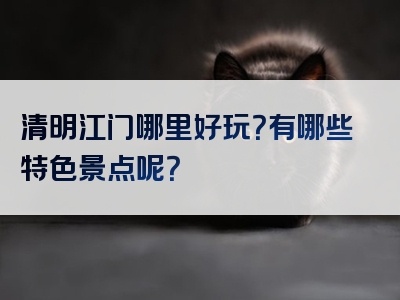清明江门哪里好玩？有哪些特色景点呢？