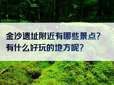金沙遗址附近有哪些景点？有什么好玩的地方呢？