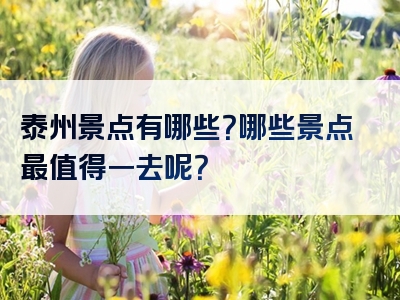 泰州景点有哪些？哪些景点最值得一去呢？