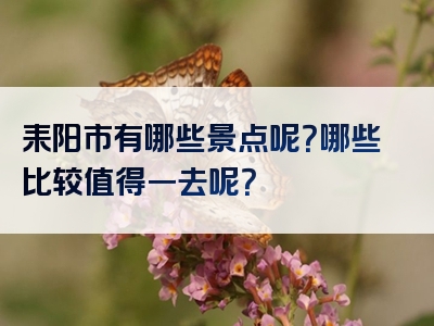 耒阳市有哪些景点呢？哪些比较值得一去呢？