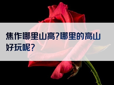焦作哪里山高？哪里的高山好玩呢？