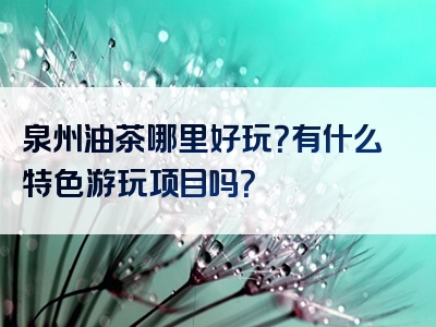 泉州油茶哪里好玩？有什么特色游玩项目吗？