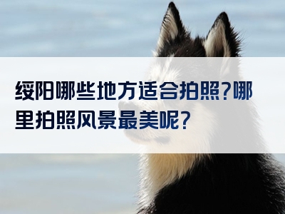 绥阳哪些地方适合拍照？哪里拍照风景最美呢？