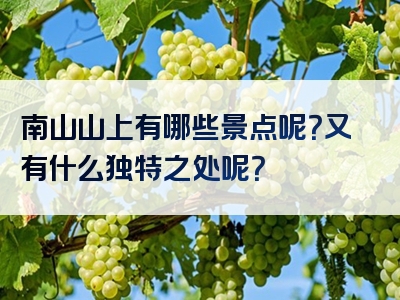 南山山上有哪些景点呢？又有什么独特之处呢？