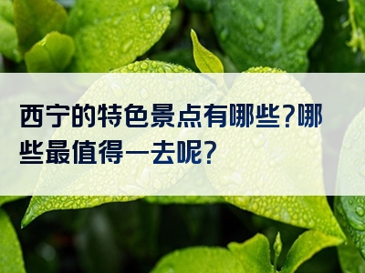 西宁的特色景点有哪些？哪些最值得一去呢？
