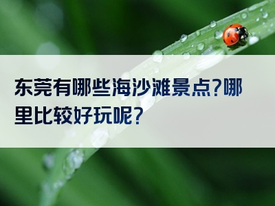 东莞有哪些海沙滩景点？哪里比较好玩呢？