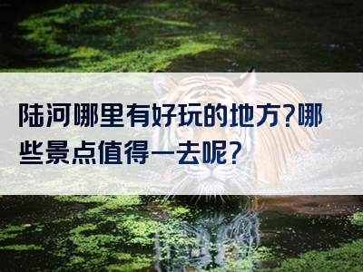 陆河哪里有好玩的地方？哪些景点值得一去呢？