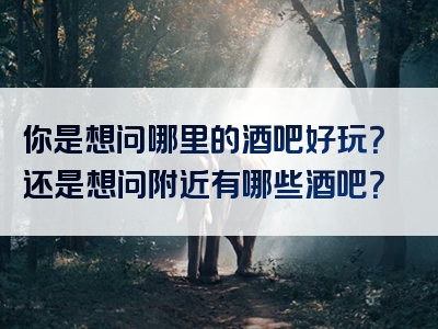 你是想问哪里的酒吧好玩？还是想问附近有哪些酒吧？
