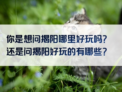 你是想问揭阳哪里好玩吗？还是问揭阳好玩的有哪些？