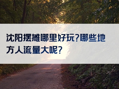 沈阳摆摊哪里好玩？哪些地方人流量大呢？