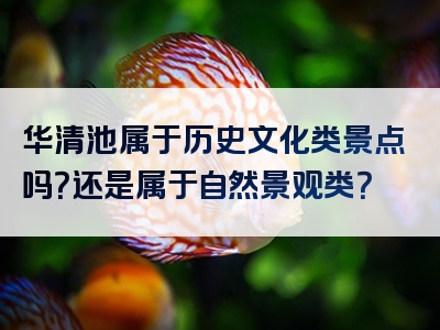 华清池属于历史文化类景点吗？还是属于自然景观类？