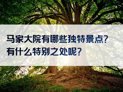 马家大院有哪些独特景点？有什么特别之处呢？
