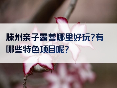 滕州亲子露营哪里好玩？有哪些特色项目呢？