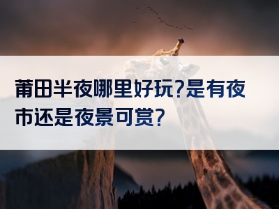 莆田半夜哪里好玩？是有夜市还是夜景可赏？